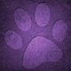 paw 2