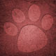 paw 8